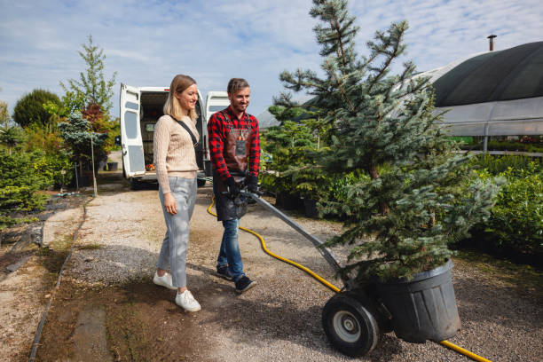 Best Fruit Tree Pruning  in USA